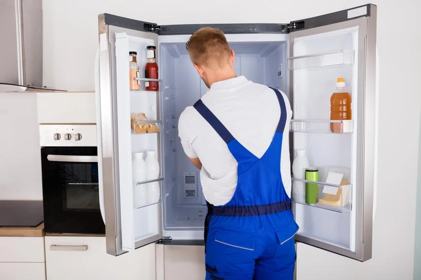 Refrigerator Repairing Professional